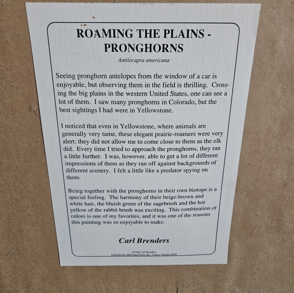 Carl Brenders - Roaming the Plains - Picture 2 of 3